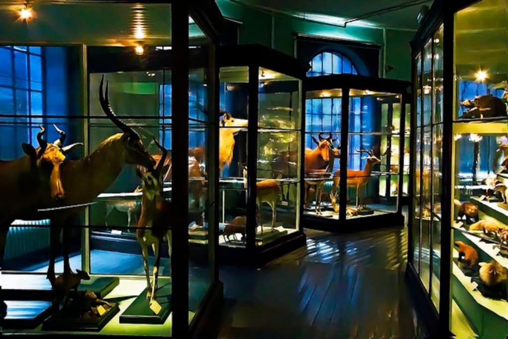 Spacious Historical Art Oasis In The City Center Bergen Exterior photo